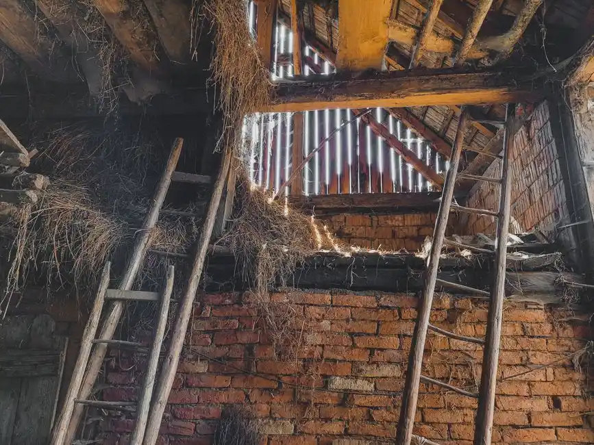 Interior of an old rustic barn with ladders and hay, showcasing vintage rural architecture.